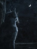 by Asheley Kapelewski