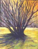 by Delores Herringshaw