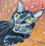 by Irina Stroup