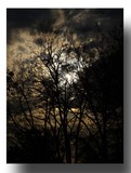 by Dawn Landrum