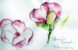 by Jessamines Garden 