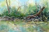 by Betty Pinkston