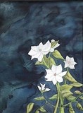 by Wendy Wilson