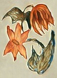by Michelle Hoffmann