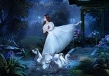by Andreea Cernestean