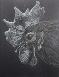 by Nancy Kirkup