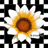 by Anne Vis