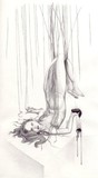 by silver fish