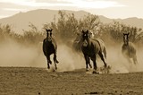 by CowGirlZen Artworks