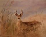 by jennifer blenkinsopp