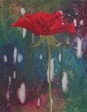 by ria van meijeren