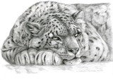 by Svetlana Ledneva-Schukina