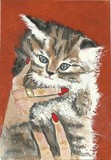 by Sherry Melberg