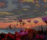 by Ingrid Kolster