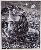 by Andrzej Masianis
