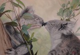 by Leigh Rust