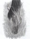 by Renee Y. Lewis
