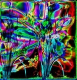 by Barry Huyett