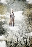 by amira el-fohail