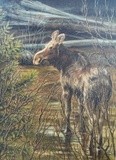 by Sheryl Boivin