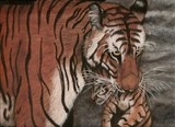 by Elizabeth Hannah