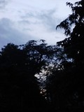 by Dhruv Sharma
