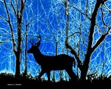 by Sharon K. Shubert