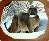 by Richard Stickroth Sr.