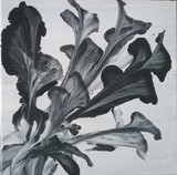 by Lori Azzolino