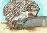 by Niina Niskanen