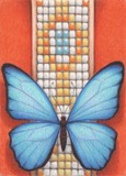 by Amy Turner