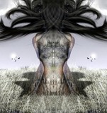 by TOMMY  BEAVER