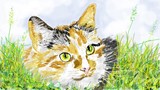 by susan beswick
