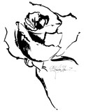 by Kathy Morton-Stanion