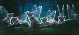 by John Lynch