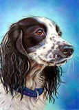 by Adele  Beverley