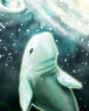 by Khaamar Neo