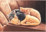 by Deana Russell