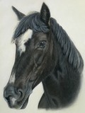 by Sue Clinker