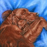 by Dawn Secord