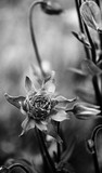 by Bill M