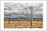 by Ropati Leaso-Cobb