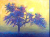 by darrell parrott