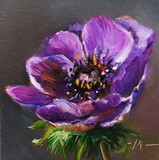 by Joke Klootwijk
