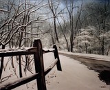 by Daniel Carvalho