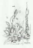 by  Floater