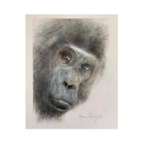 by Lynne Davies