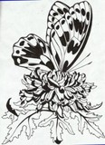 by Jenny Blue