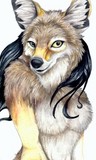 by Crystine Cimiluca