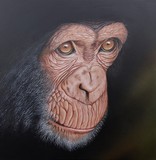 by Dallas Nyberg